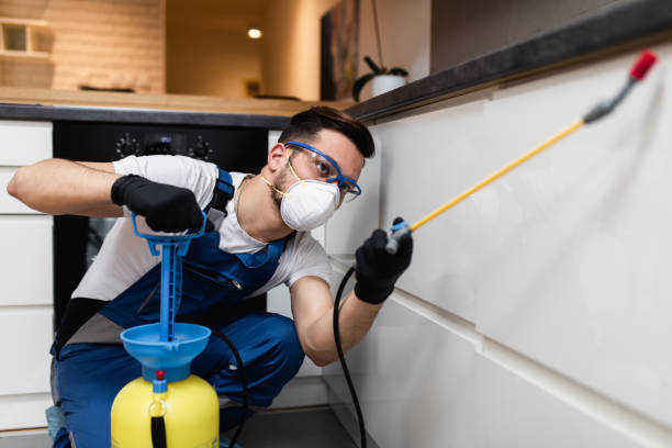 Best Commercial Pest Control Services  in South Daytona, FL