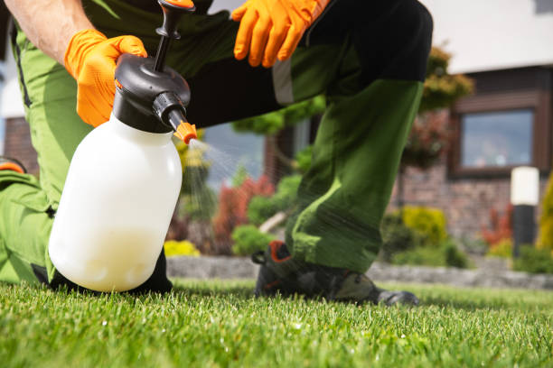 Best Pest Control Near Me  in South Daytona, FL
