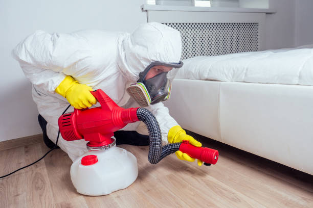 Best Flea Control Services  in South Daytona, FL