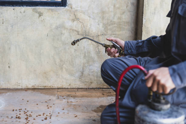 Best Pest Prevention Services  in South Daytona, FL